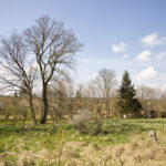 pozemek bernartice